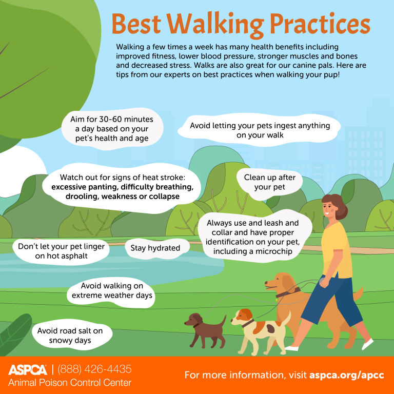 How to Get the Most Out of Your Walk: Top Tips for Maximum Benefits