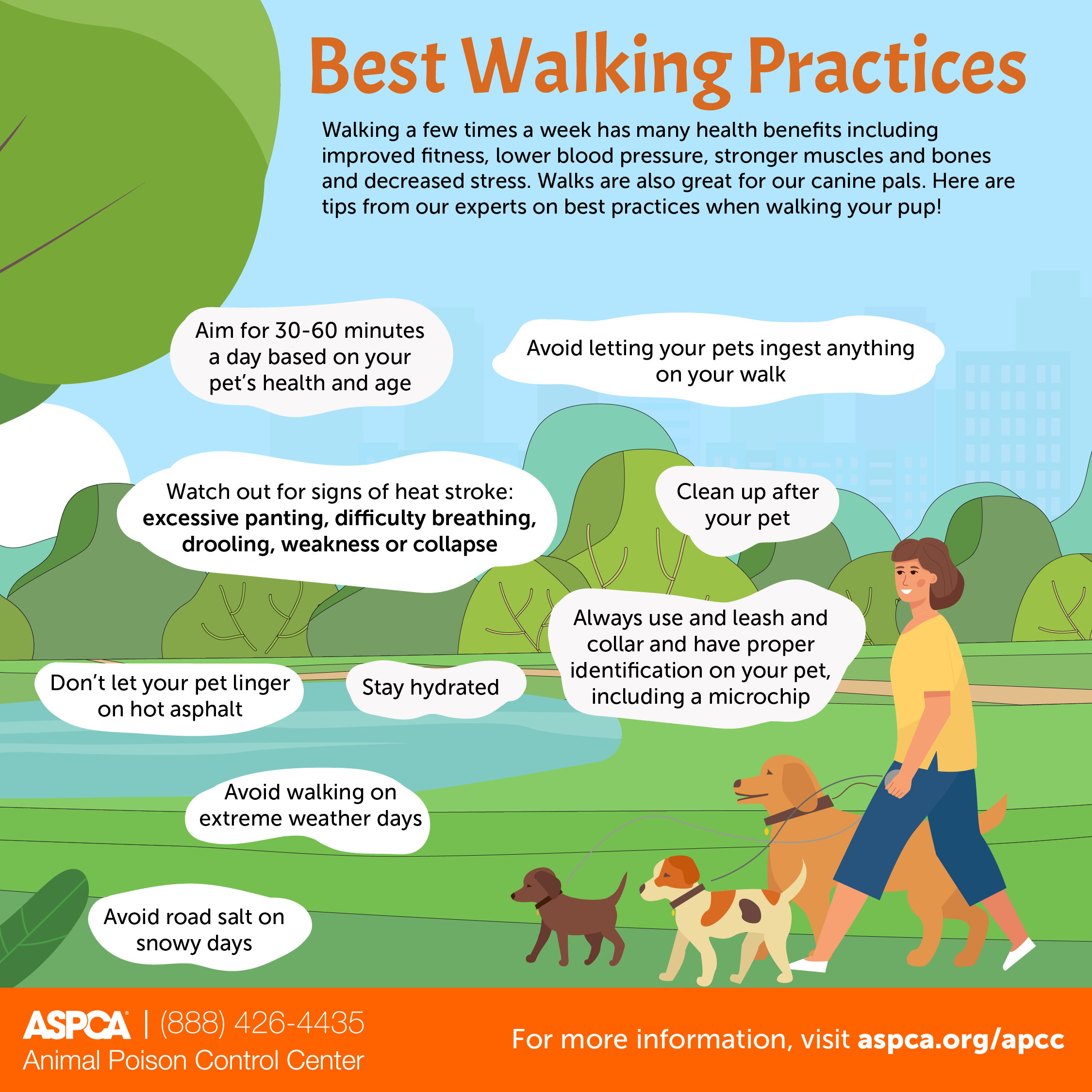 How to Get the Most Out of Your Walk