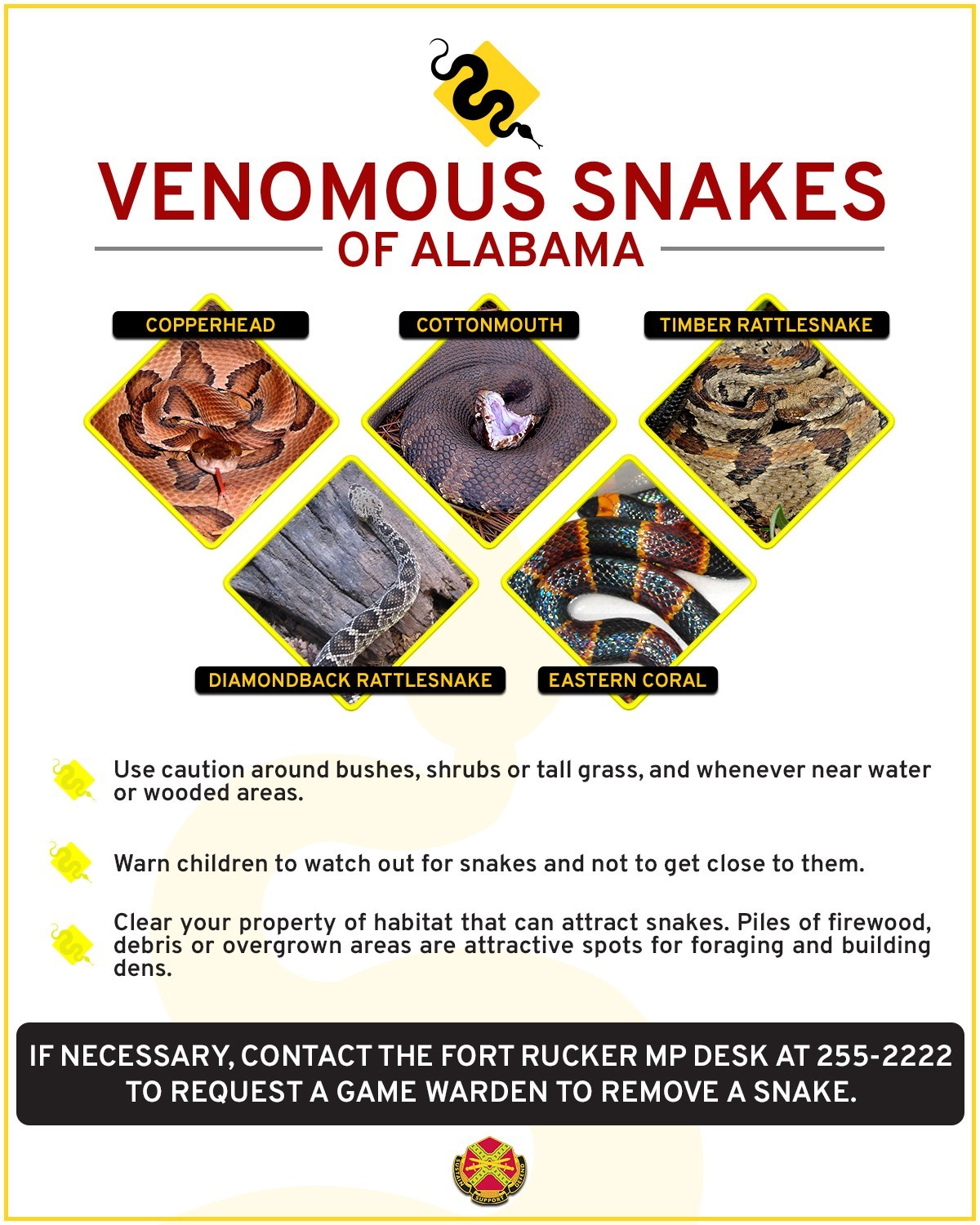 What to Do If You Encounter a Rattlesnake While Hiking