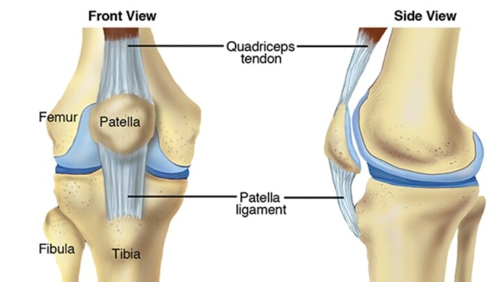 How to Make Knee Ligaments Stronger?