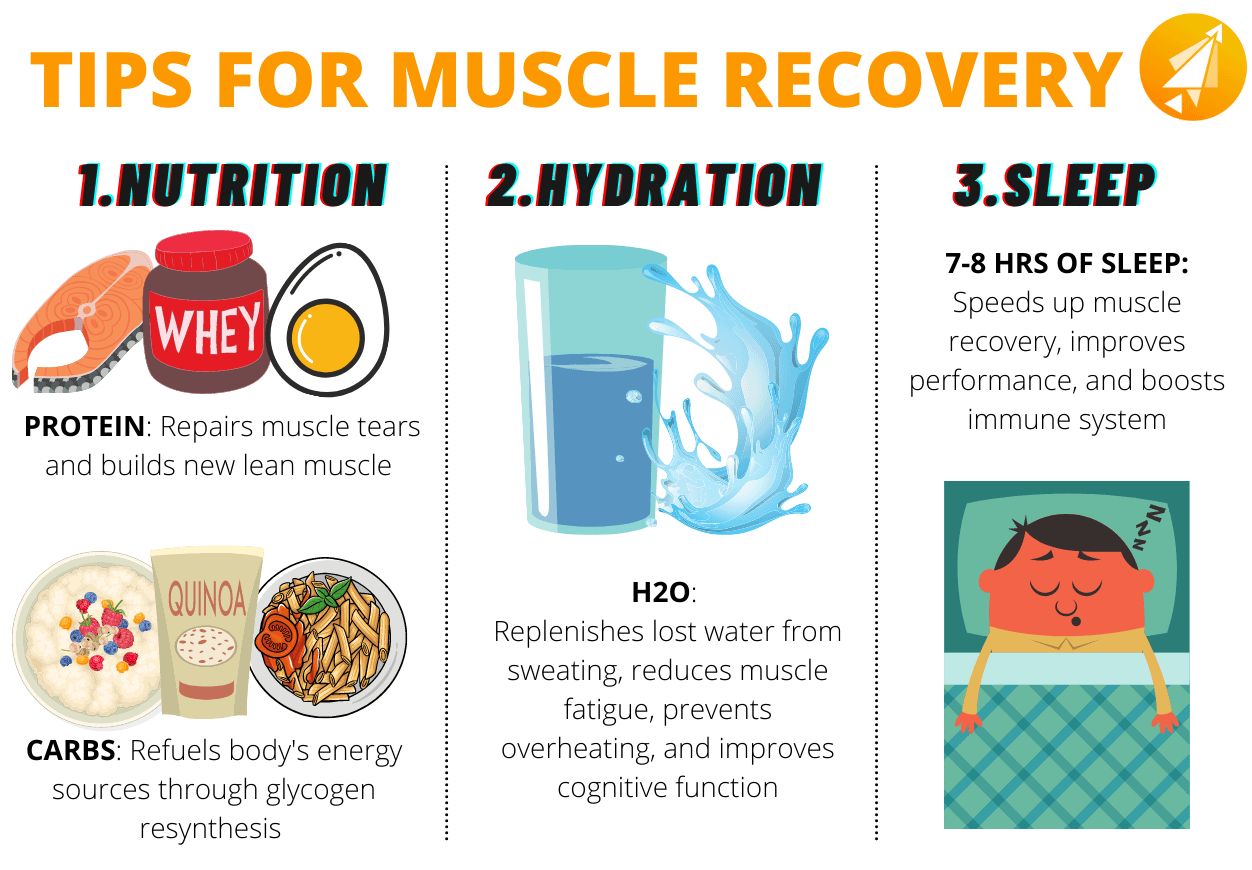 How to Speed Muscle Recovery?